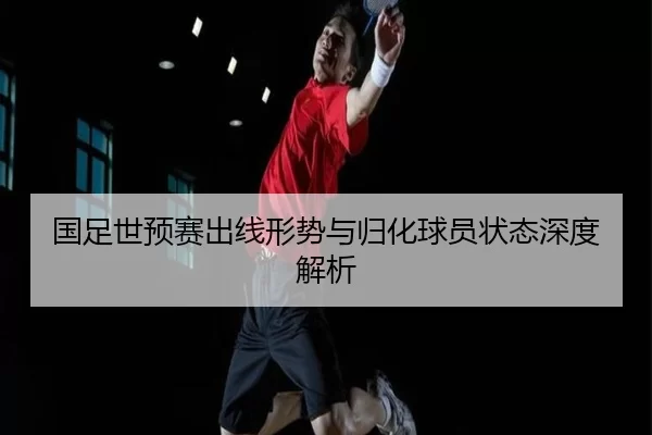 国足世预赛出线形势与归化球员状态深度解析