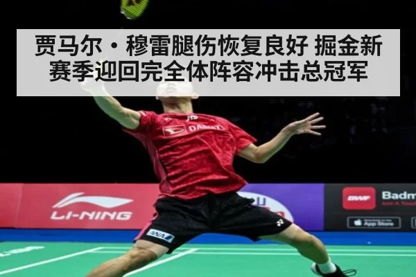 贾马尔·穆雷腿伤恢复良好 掘金新赛季迎回完全体阵容冲击总冠军